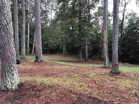 455 Clearbrook Dr, Covington, GA 30016 photo 40