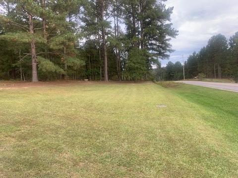 534 Dean Rd, Franklin, GA 30217 photo 2