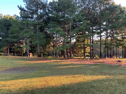 721 Deer Run, Williamson, GA 30292 photo 51