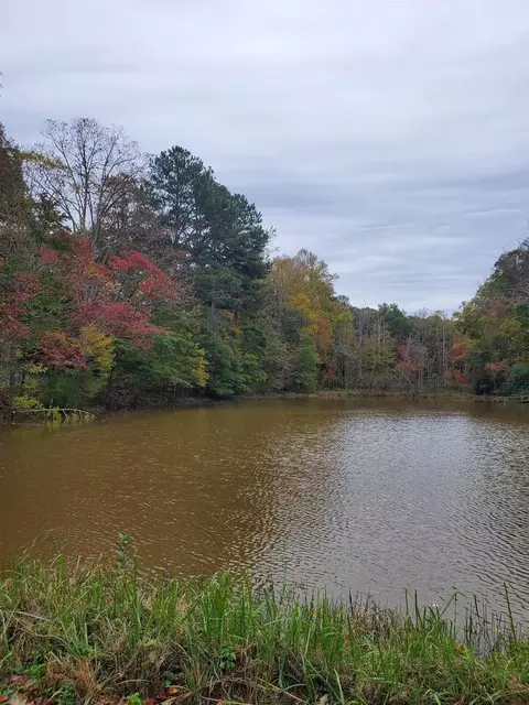 209 Laurel Dr, Cornelia, GA 30531 photo 36