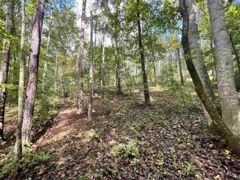 26 Crolley Ln, White, GA 30184 photo 9