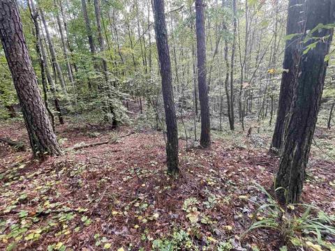 26 Crolley Ln, White, GA 30184 photo 10