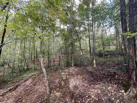 26 Crolley Ln, White, GA 30184 photo 7