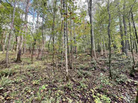 26 Crolley Ln, White, GA 30184 photo 12