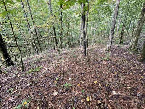 26 Crolley Ln, White, GA 30184 photo 13