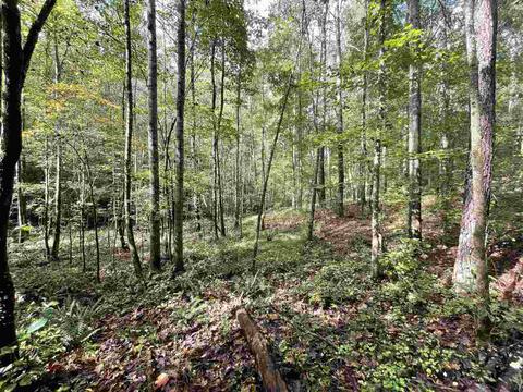 26 Crolley Ln, White, GA 30184 photo 8