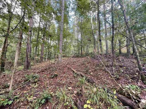 26 Crolley Ln, White, GA 30184 photo 11