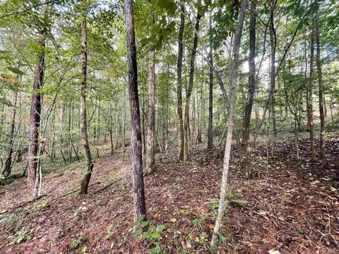 26 Crolley Ln, White, GA 30184 photo 6