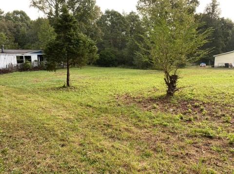 905 Mote Rd, Covington, GA 30016 photo 37