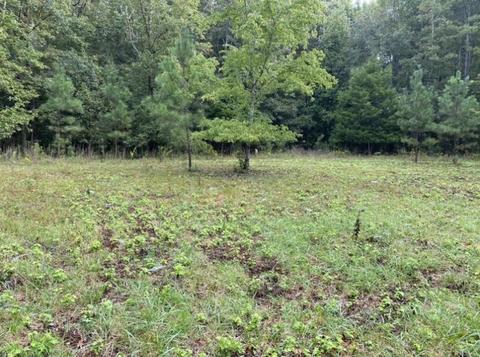 905 Mote Rd, Covington, GA 30016 photo 21