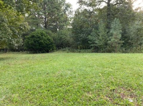 905 Mote Rd, Covington, GA 30016 photo 34