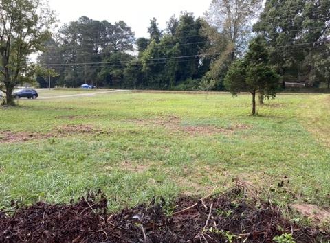 905 Mote Rd, Covington, GA 30016 photo 33