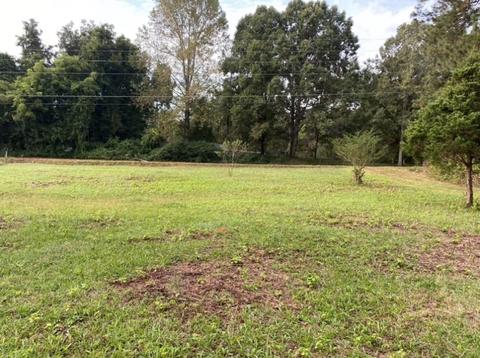 905 Mote Rd, Covington, GA 30016 photo 36