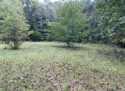 905 Mote Rd, Covington, GA 30016 photo 18