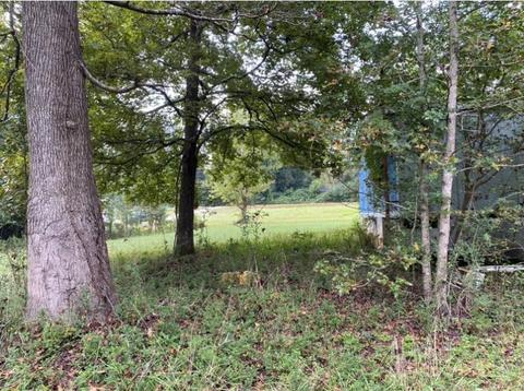 905 Mote Rd, Covington, GA 30016 photo 24