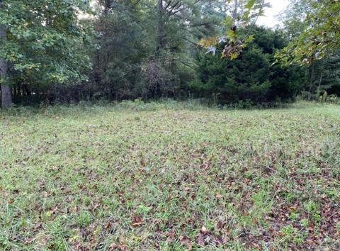 905 Mote Rd, Covington, GA 30016 photo 25