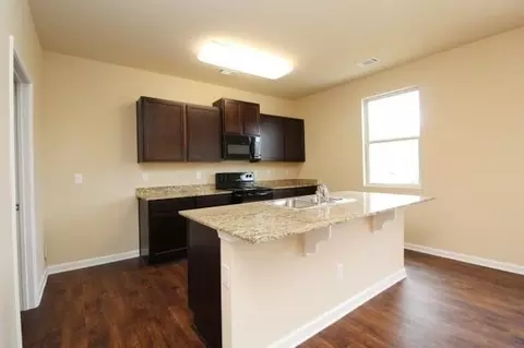 1485 Townsend Ct, Hampton, GA 30228 photo 4