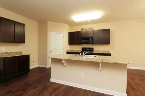 1485 Townsend Ct, Hampton, GA 30228 photo 6