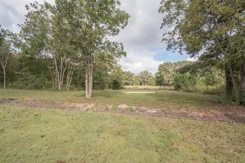 20 Pointer Ln, Senoia, GA 30276 photo 38