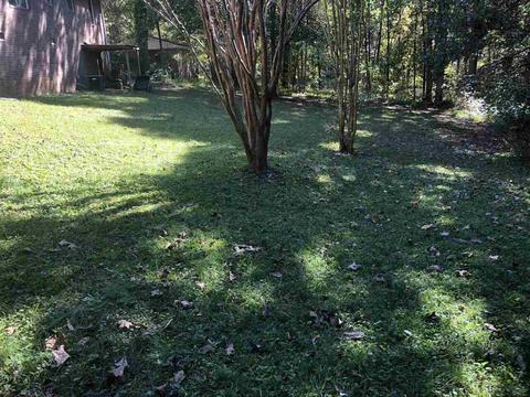 19 Pine St, Buchanan, GA 30113 photo 13