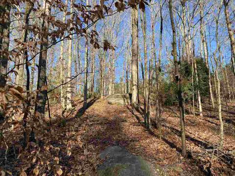 357 Zellner Rd, Forsyth, GA 31029 photo 4