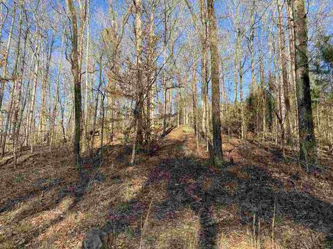 357 Zellner Rd, Forsyth, GA 31029 photo 3