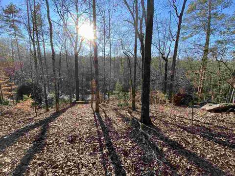 357 Zellner Rd, Forsyth, GA 31029 photo 1