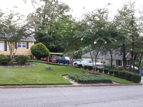 115 Cleveland Dr, Lagrange, GA 30241 photo 11