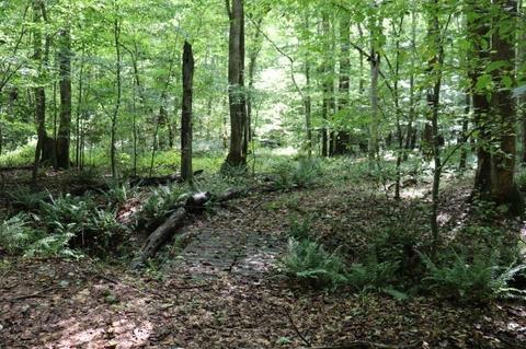 243 Katie Beth Rd, Comer, GA 30629 photo 40