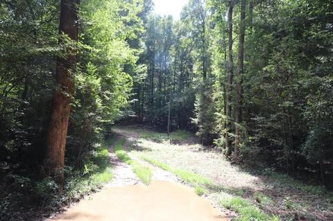 243 Katie Beth Rd, Comer, GA 30629 photo 6