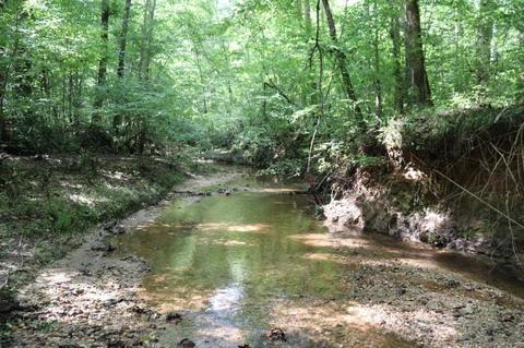 243 Katie Beth Rd, Comer, GA 30629 photo 2