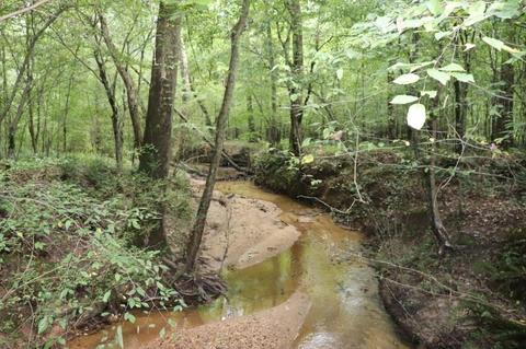243 Katie Beth Rd, Comer, GA 30629 photo 32