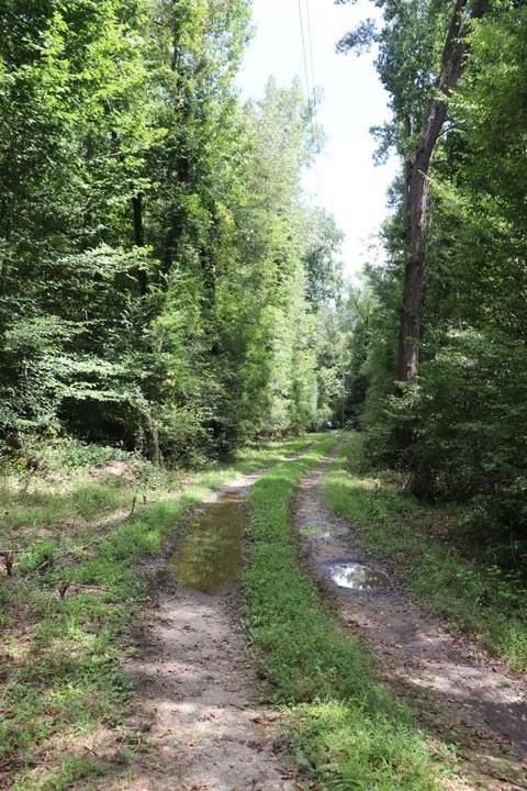 243 Katie Beth Rd, Comer, GA 30629 photo 10