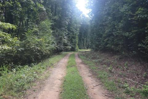 243 Katie Beth Rd, Comer, GA 30629 photo 5