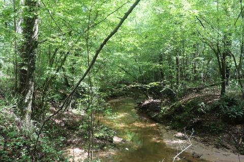 243 Katie Beth Rd, Comer, GA 30629 photo 7
