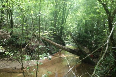 243 Katie Beth Rd, Comer, GA 30629 photo 8