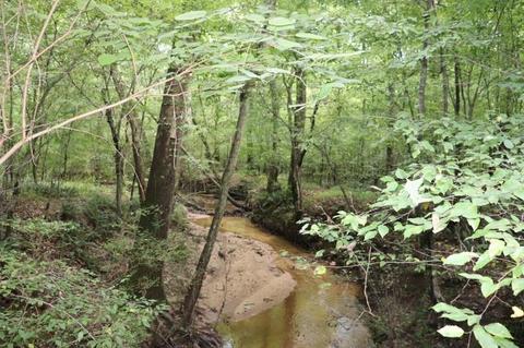 243 Katie Beth Rd, Comer, GA 30629 photo 30