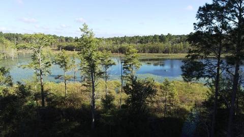 238 Holland Rd, Register, GA 30452 photo 7