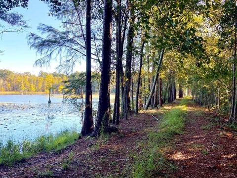 238 Holland Rd, Register, GA 30452 photo 38