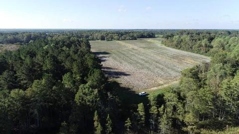 238 Holland Rd, Register, GA 30452 photo 28