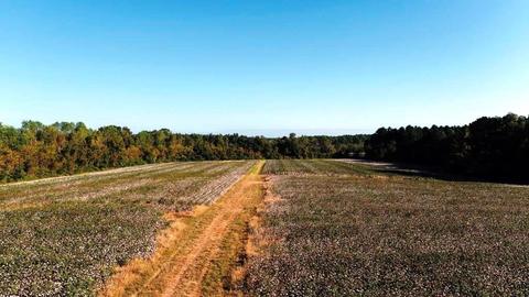 238 Holland Rd, Register, GA 30452 photo 27