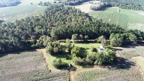 238 Holland Rd, Register, GA 30452 photo 5