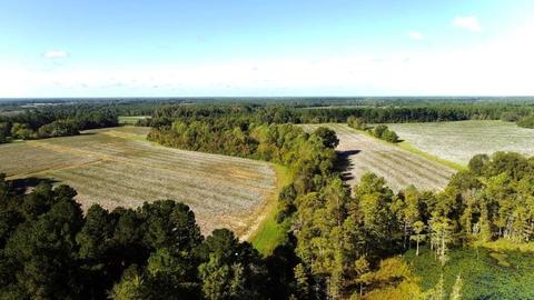 238 Holland Rd, Register, GA 30452 photo 8