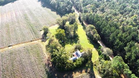 238 Holland Rd, Register, GA 30452 photo 32