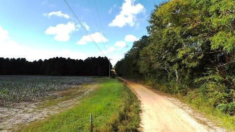 238 Holland Rd, Register, GA 30452 photo 24