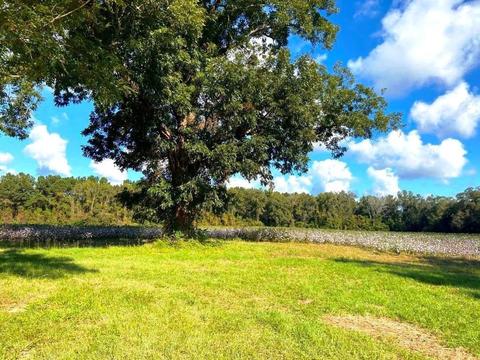 238 Holland Rd, Register, GA 30452 photo 42