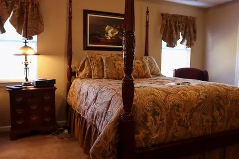 11140 Weeping Willow Pl, Hampton, GA 30228 photo 7
