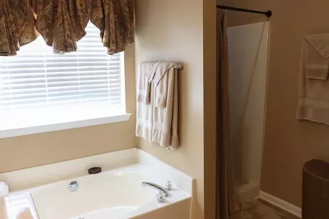 11140 Weeping Willow Pl, Hampton, GA 30228 photo 9
