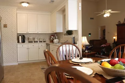 11140 Weeping Willow Pl, Hampton, GA 30228 photo 19