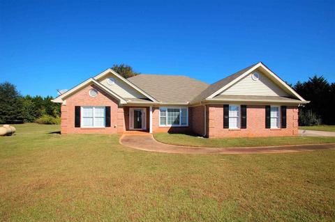1724 Lovejoy Rd, Hampton, GA 30228 photo 1